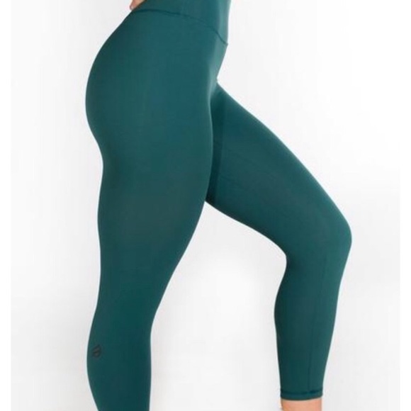 mayra plush legging